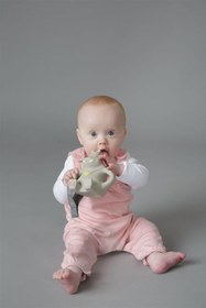 Resim Cheeky Chompers Hipo Diş Kaşıyıcı Chewy 