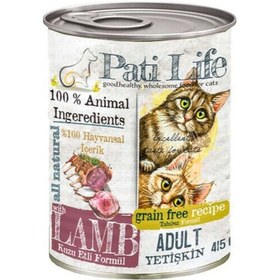 Resim Pati Life Kuzu Etli Tahılsız Konserve Yetişkin Kedi Maması 24 x 415 G 