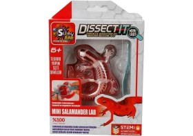 Resim Marsilyan Slimy Dissect It Mini Labaratuvar 