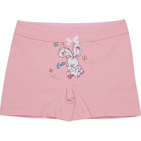 Resim Cicito Kız Çocuk Pamuklu Renkli Likralı Boxer 3'lü Paket 6234 