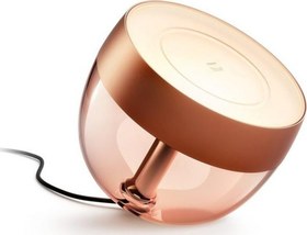 Resim Philips Hue Iris Copper 