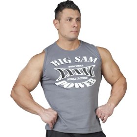 Resim Big Sam Gym Antrenman Atleti Kolsuz Spor T-Shirt 