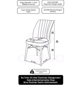Resim Canisa Nuna Serisi 1 Adet Krem Mutfak Sandalyesi Babyface Kumaş Ceviz Gürgen Ayaklı Sandalye Sandalye Krem Ayakları Ceviz 