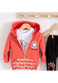 Resim 3-18 Ay Erkek Bebek Alt&üst Takımı Aslan 3'lü Kiremit Kiremit 