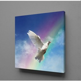 Resim Beyaz Güvercin Ve Gökkuşağı Kanvas Tablo 