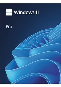 Resim Windows 11 Pro - Elektronik Lisans 