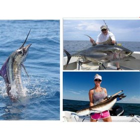 Resim Profisher Kalem Balık Model E Sert Sahte Yapay Yem 26 G 18 CM 