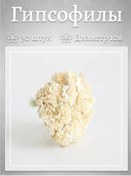 Resim Flowers-max El İşi İçin Antirrhinum 173794613 