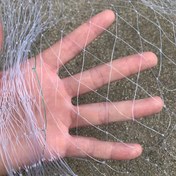 Resim Açık Hava Sebze ve Meyve Kuş Gecikliği Ağı, 3m x 10m, Şeffaf File Kedi Koruma Ağı, Pencereler, Avlular, İç ve Dış Mekan Kedi Ağı, Meyve Ağacı Ağı Kapak, Havuz Ağacı Engel Ağı, Çok Amaçlı Ev Ağı 