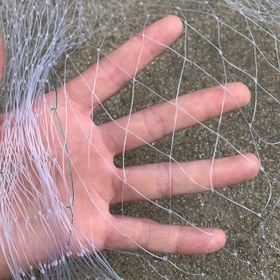 Resim Açık Hava Sebze ve Meyve Kuş Gecikliği Ağı, 3m x 10m, Şeffaf File Kedi Koruma Ağı, Pencereler, Avlular, İç ve Dış Mekan Kedi Ağı, Meyve Ağacı Ağı Kapak, Havuz Ağacı Engel Ağı, Çok Amaçlı Ev Ağı 