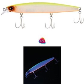 Resim Fujin Gallant 120F 19 GR 120 MM Floating Maket Balık Chart Back Pearl 