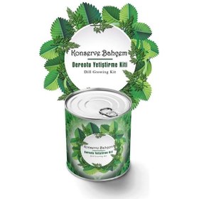 Resim Büro Ev Yazlık İçin Dereotu Konservede Yetiştirme Tohum Kiti 