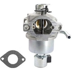 Resim Pazly Briggs & Stratton 594605 Motorlu Testere Karbüratör, Yüksek Performanslı, Çin Made 