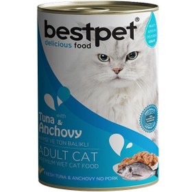 Resim Bestpet Ton Balıklı ve Hamsili Gravy Yetişkin Konserve Kedi Maması 1 Adet 400 Gr 