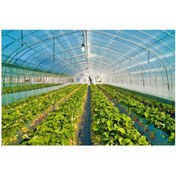 Resim Emek 6 M X 20 M 350 Mikron Eva Uv Katkılı 36 Aylık Sera Naylonu Kalın Sera Örtüsü Branda 