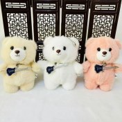 Resim Baijiafu2 Yeni 1 Adet Dört Inç Iyi Şanslar Karikatür Peluş Oyuncak Bebek Anahtarlık Sevimli Bebek Anahtar Küçük Kolye Seti (Yurt Dışından) 