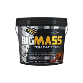 Resim BigJoy Sports Bigmass GH+ Factors Çikolata 3000 gr 