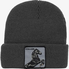 Resim Goorin Bros Buzzed Unisex Gri Bere 