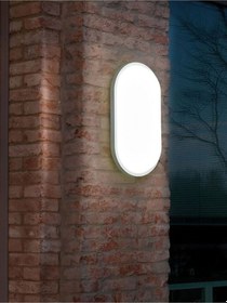 Resim Balkon Lambası Teras Lambası Oval Duvar Lambası 20 Watt Beyaz Işık Banyo Lambası Tavan Lambası Soğuk Beyaz 