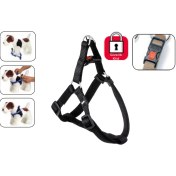 Resim Karlıe Kilitli Göğüs Tasma M 40-70 Cm Siyah Çok Renkli 