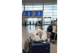 Resim Miniso Sevimli Hayvan Serisi Uyku Gözlüklü Hafızalı Boyun Yastığı 