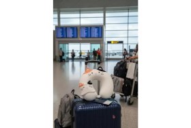 Resim Miniso Sevimli Hayvan Serisi Uyku Gözlüklü Hafızalı Boyun Yastığı 