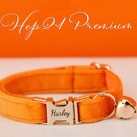Resim Cat collar with bell named cat collar 745094 - Orange Collar / S/M 16-26cm 