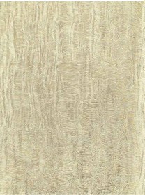 Resim Zambaiti Parati Camelia İtalyan İthal Duvar Kağıdı 2150 7m2 Renkli 