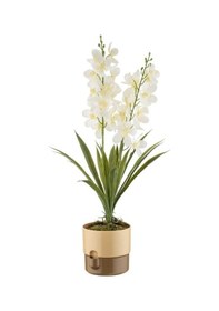 Resim Poliwork Dora Saksı 1 Lt 130x120 Mm - Su Hazneli 81002319 