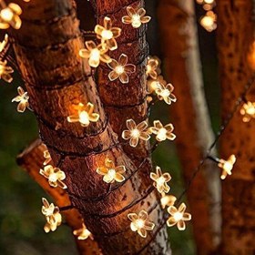 Resim Evimdeyokyok Solar 5 M Papatya Gün Işığı 8 Fonksiyonlu 50 Led 