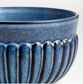 Resim Cove Glazed Indigo Blue 16 Parça Yemek Takımı Çok Renkli 