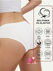Resim Alya Underwear Kadın Pamuklu Hipster - Slip Külot 5 Farklı Renk 1 Pakette Çok Renkli P51 