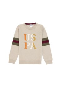 Resim U.s. Polo Assn. Erkek Çocuk Taş Melanj Kazak /triko 50317165-vr225 Tas Melanj 
