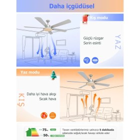 Resim Dlc Grecale LED Tavan Vantilatörü Mat Krom 148 cm 