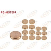 Resim Puga-pg-mst009 - Motor Su Blok Tapası Takım Sarı Pırınc Kıa Bon 