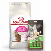 Resim Royal Canin Savour Exigent Seçici Kedi Maması 2 Kg + Crocus Cream Ödül 4x15 Gr 