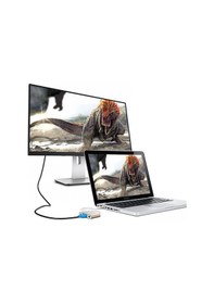 Resim S-LINK SL-USB-C66 0.15metre TYPE-C-USB 3.0_V A Çevirici Adaptör 