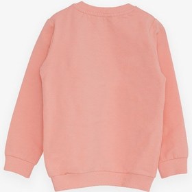 Resim Breeze Kız Çocuk Sweatshirt Ayıcık Aksesuarlı 1.5-5 Yaş, Somon 