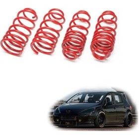 Resim Peugeot 307 spor yay helezon 45mm/45mm 2001-2008 Coil-ex 