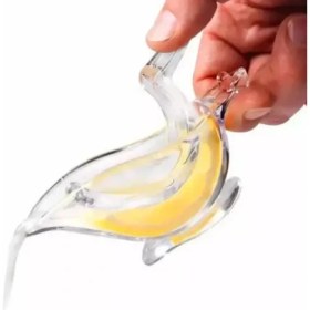 Resim Ethab Ticaret Kuş Şeklinde Sunumluk Limon Sıkacağı 