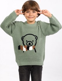 Resim Cloudy Kids Erkek Çocuk Bisiklet Yaka Ayıcık Nakışlı Triko Kazak 