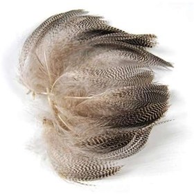 Resim Captain Çapari Tüyü Poşette 5gr Horoz Tüyü - KıRÇıLLı 