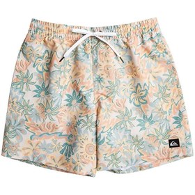 Resim Quiksilver EQYJV04004 Re-Mix Volley 17Nb Erkek Şort Mayo 