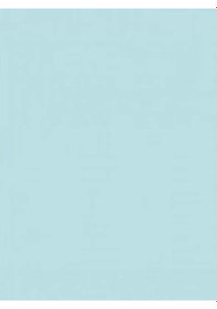 Resim Wagner Boya Wabıesılan Silikonlu Dış Cephe Boya 2,5 Lt 