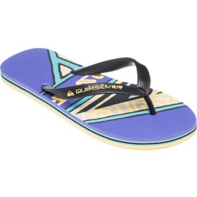 Resim Quiksilver Molokai Screen Erkek Terlik ERKEK TERLİK AQYL101427 
