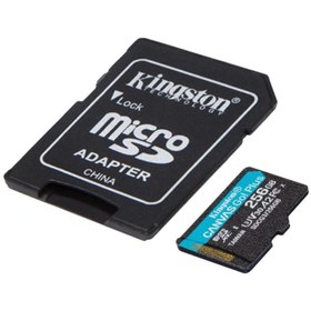 Resim Kingston 256gb Microsd Canvasgoplus Hafıza Kartı Sdcg3/256gb 