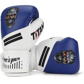 Resim Titan Sport Mavi Beyaz Kurukafa Desenli Boks Eldiveni Çok Renkli 