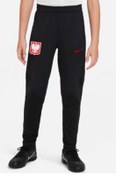 Resim Nike DH6484-010 Poland Strike Dri-FIT Eşofman Altı 