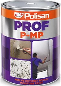 Resim Polisan Prof P-MP Nem ve Rutubet Boyası 2,5 kg. 
