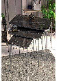 Resim Zigon Sehpa Kr Gümüş Bendir Tel 